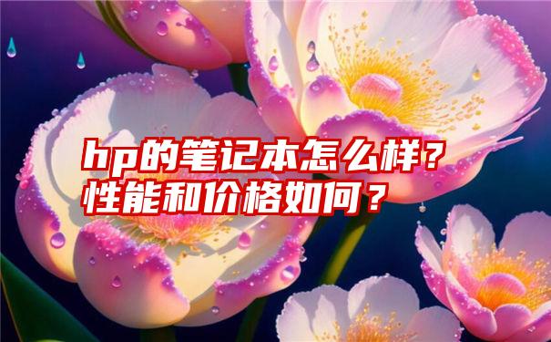 hp的笔记本怎么样？性能和价格如何？