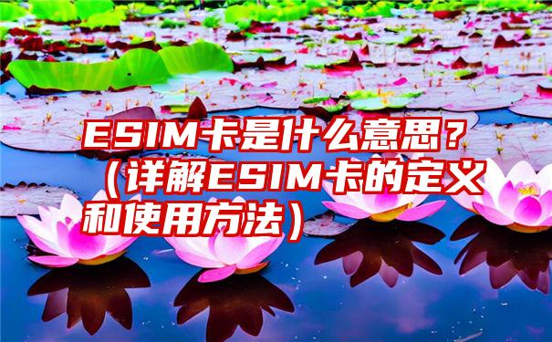 ESIM卡是什么意思？（详解ESIM卡的定义和使用方法）