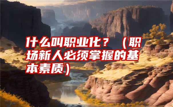 什么叫职业化？（职场新人必须掌握的基本素质）