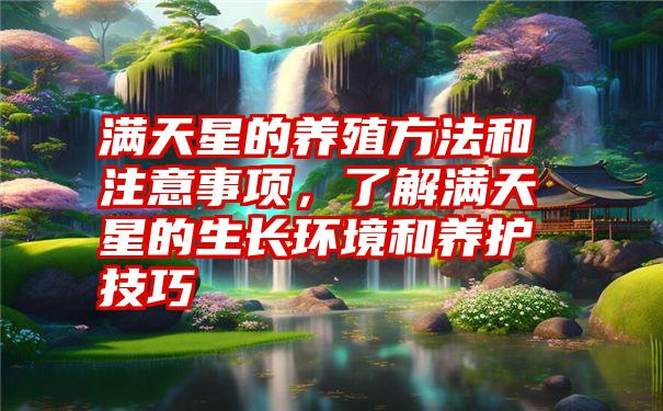 满天星的养殖方法和注意事项，了解满天星的生长环境和养护技巧