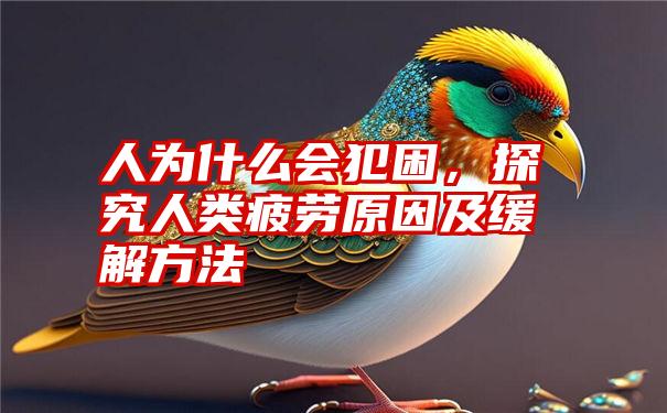 人为什么会犯困，探究人类疲劳原因及缓解方法