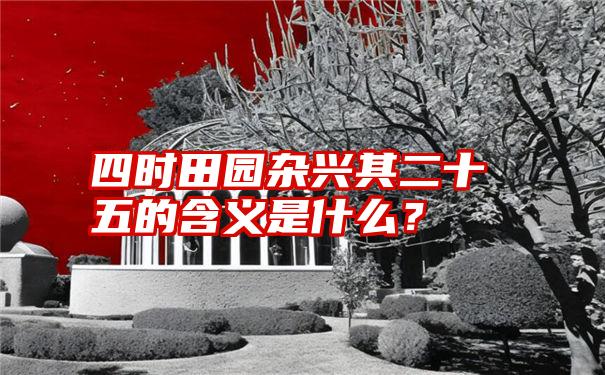 四时田园杂兴其二十五的含义是什么？