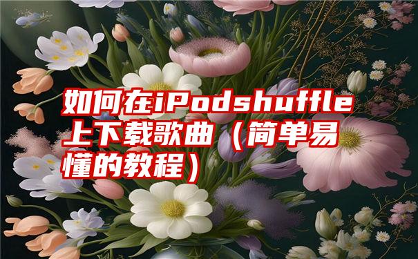 如何在iPodshuffle上下载歌曲（简单易懂的教程）