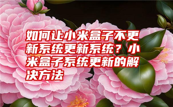 如何让小米盒子不更新系统更新系统？小米盒子系统更新的解决方法