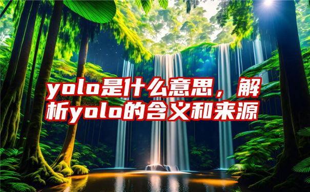 yolo是什么意思，解析yolo的含义和来源