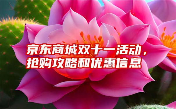 京东商城双十一活动，抢购攻略和优惠信息