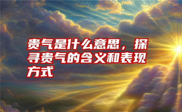 贵气是什么意思，探寻贵气的含义和表现方式