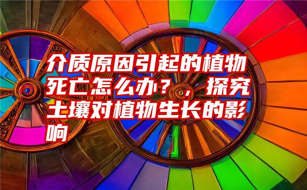 介质原因引起的植物死亡怎么办？，探究土壤对植物生长的影响