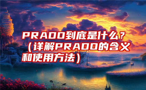 PRADO到底是什么？（详解PRADO的含义和使用方法）