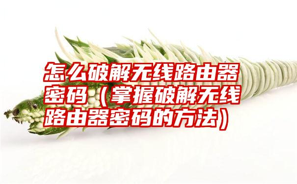 怎么破解无线路由器密码（掌握破解无线路由器密码的方法）