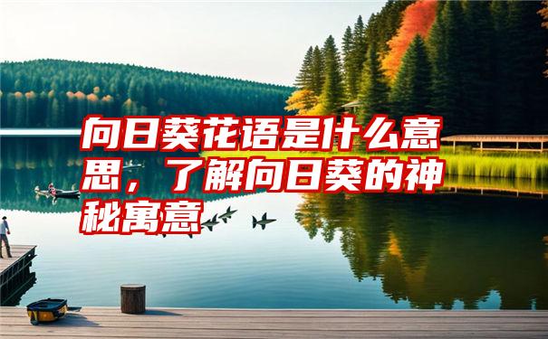 向日葵花语是什么意思，了解向日葵的神秘寓意