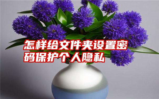 怎样给文件夹设置密码保护个人隐私