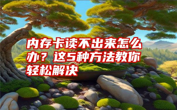 内存卡读不出来怎么办？这5种方法教你轻松解决