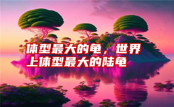 体型最大的龟，世界上体型最大的陆龟