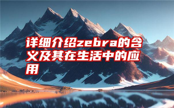 详细介绍zebra的含义及其在生活中的应用