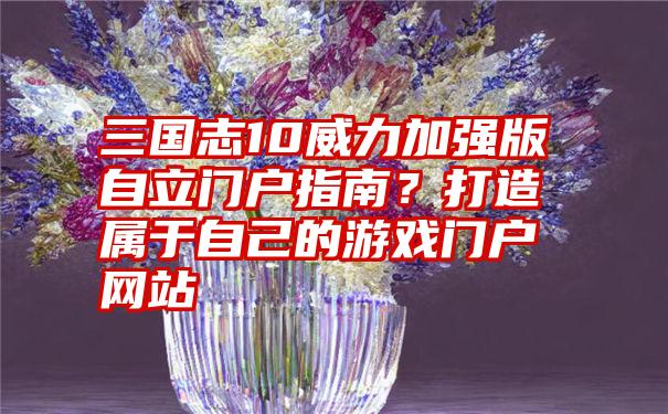 三国志10威力加强版自立门户指南？打造属于自己的游戏门户网站