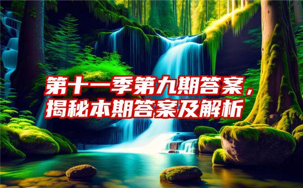 第十一季第九期答案，揭秘本期答案及解析