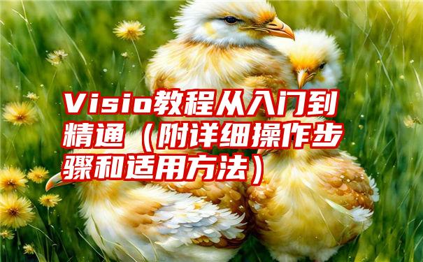 Visio教程从入门到精通（附详细操作步骤和适用方法）