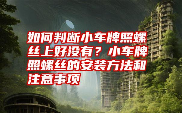 如何判断小车牌照螺丝上好没有？小车牌照螺丝的安装方法和注意事项