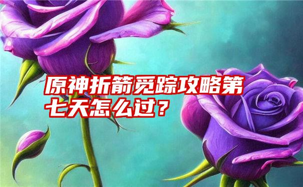 原神折箭觅踪攻略第七天怎么过？