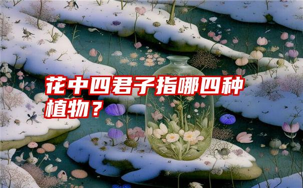 花中四君子指哪四种植物？