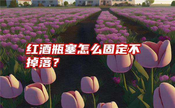 红酒瓶塞怎么固定不掉落？