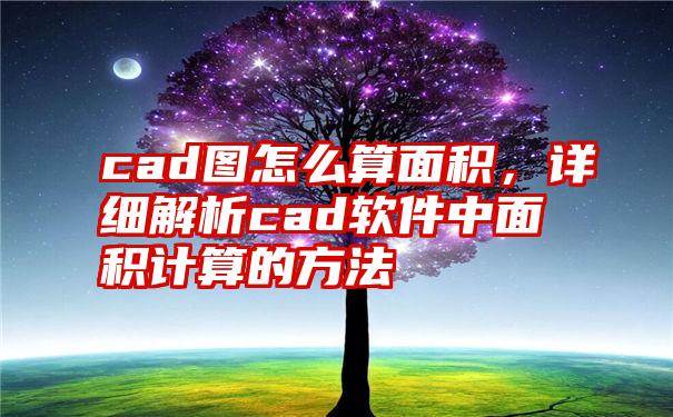 cad图怎么算面积，详细解析cad软件中面积计算的方法