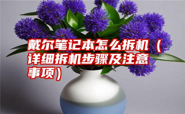 戴尔笔记本怎么拆机（详细拆机步骤及注意事项）