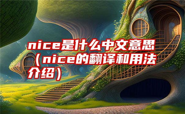 nice是什么中文意思（nice的翻译和用法介绍）