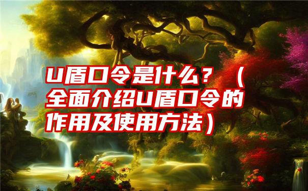 U盾口令是什么？（全面介绍U盾口令的作用及使用方法）