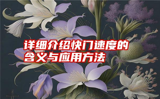 详细介绍快门速度的含义与应用方法