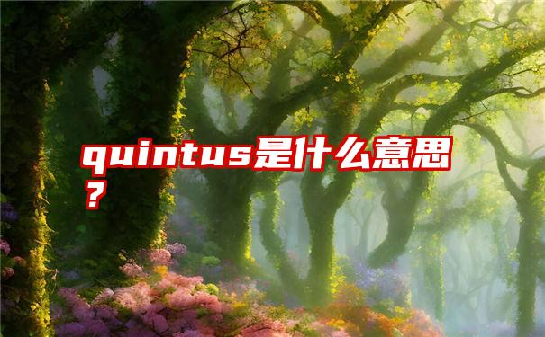 quintus是什么意思？