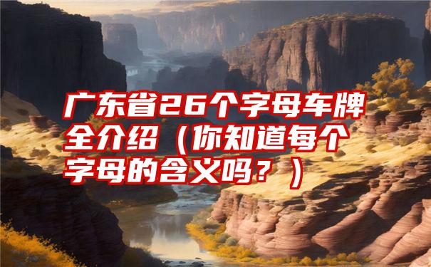 广东省26个字母车牌全介绍（你知道每个字母的含义吗？）