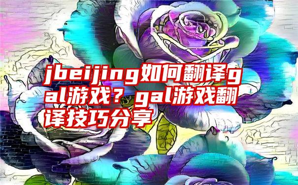 jbeijing如何翻译gal游戏？gal游戏翻译技巧分享