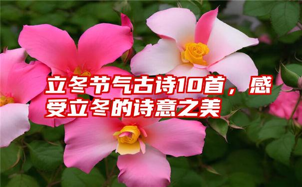 立冬节气古诗10首，感受立冬的诗意之美