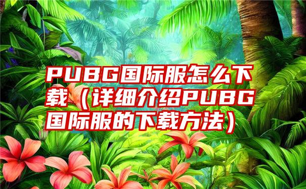 PUBG国际服怎么下载（详细介绍PUBG国际服的下载方法）