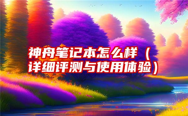 神舟笔记本怎么样（详细评测与使用体验）