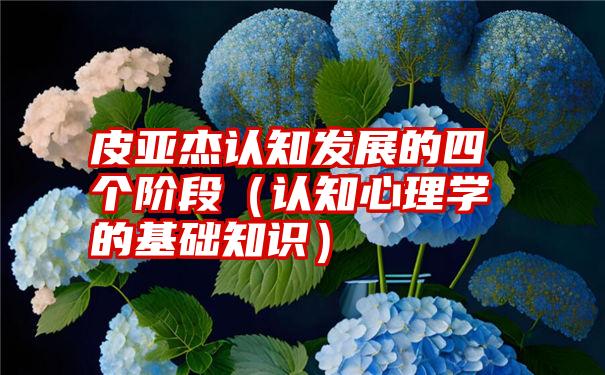 皮亚杰认知发展的四个阶段（认知心理学的基础知识）