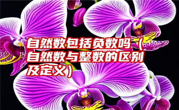 自然数包括负数吗（自然数与整数的区别及定义）