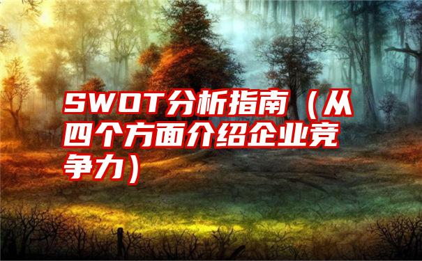 SWOT分析指南（从四个方面介绍企业竞争力）