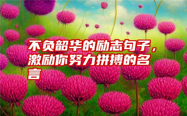 不负韶华的励志句子，激励你努力拼搏的名言