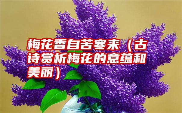 梅花香自苦寒来（古诗赏析梅花的意蕴和美丽）