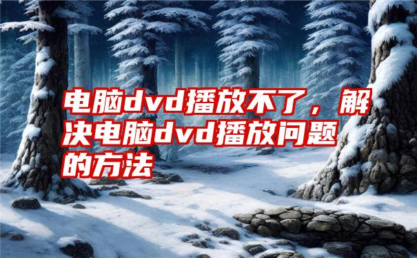 电脑dvd播放不了，解决电脑dvd播放问题的方法