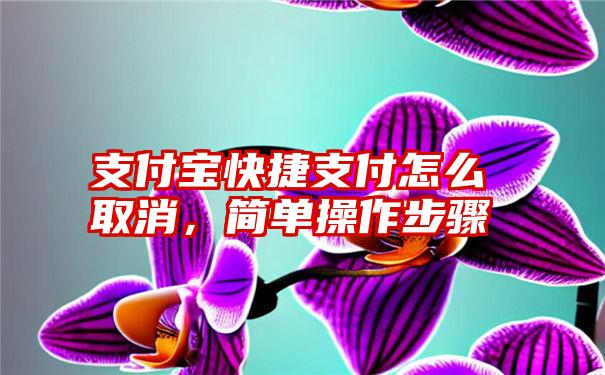 支付宝快捷支付怎么取消，简单操作步骤