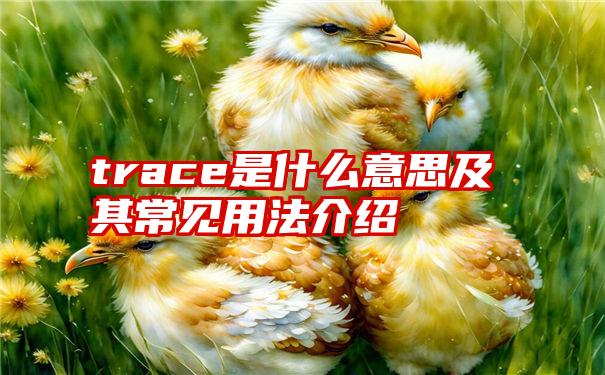 trace是什么意思及其常见用法介绍