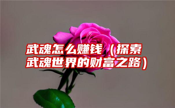 武魂怎么赚钱（探索武魂世界的财富之路）