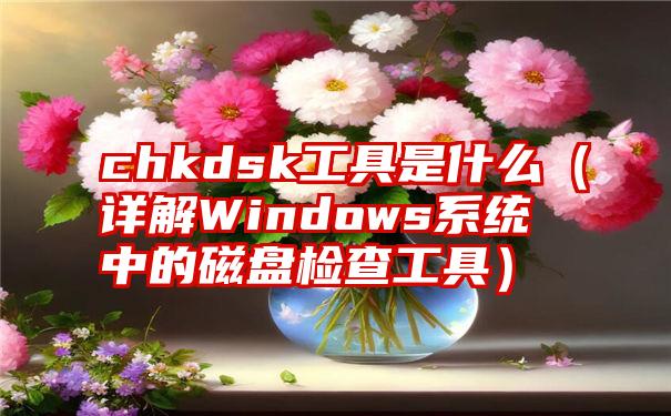 chkdsk工具是什么（详解Windows系统中的磁盘检查工具）