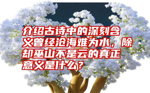 介绍古诗中的深刻含义曾经沧海难为水，除却巫山不是云的真正意义是什么？