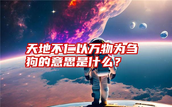 天地不仁以万物为刍狗的意思是什么？