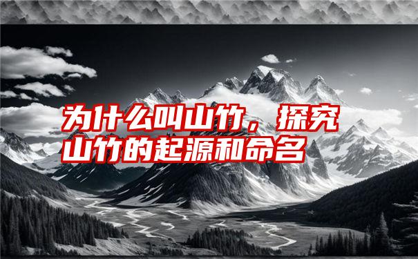 为什么叫山竹，探究山竹的起源和命名